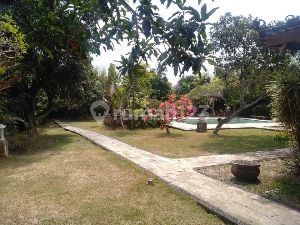 Tanah Bonus Bangunan Villa Area Banjar Semer Umalas Dekat Canggu dan Seminyak - Image 4 of 4