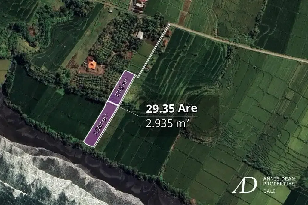 FREEHOLD BEACHFRONT LAND IN PEKUTATAN (3,000 M2) IN TOURISM ZONE - Image 4 of 10