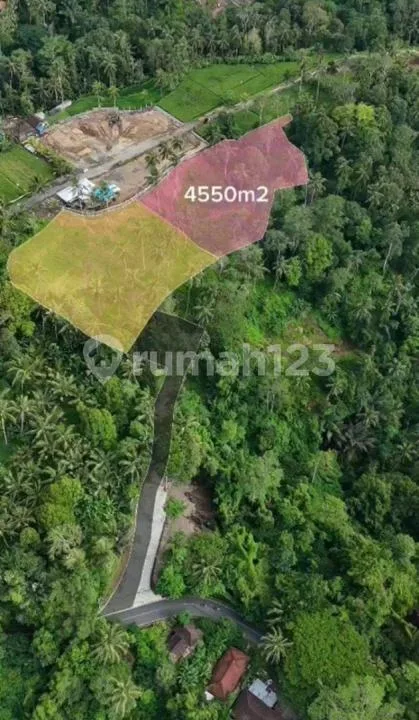 Tanah Keliki Ubud Gianyar - Image 4 of 4