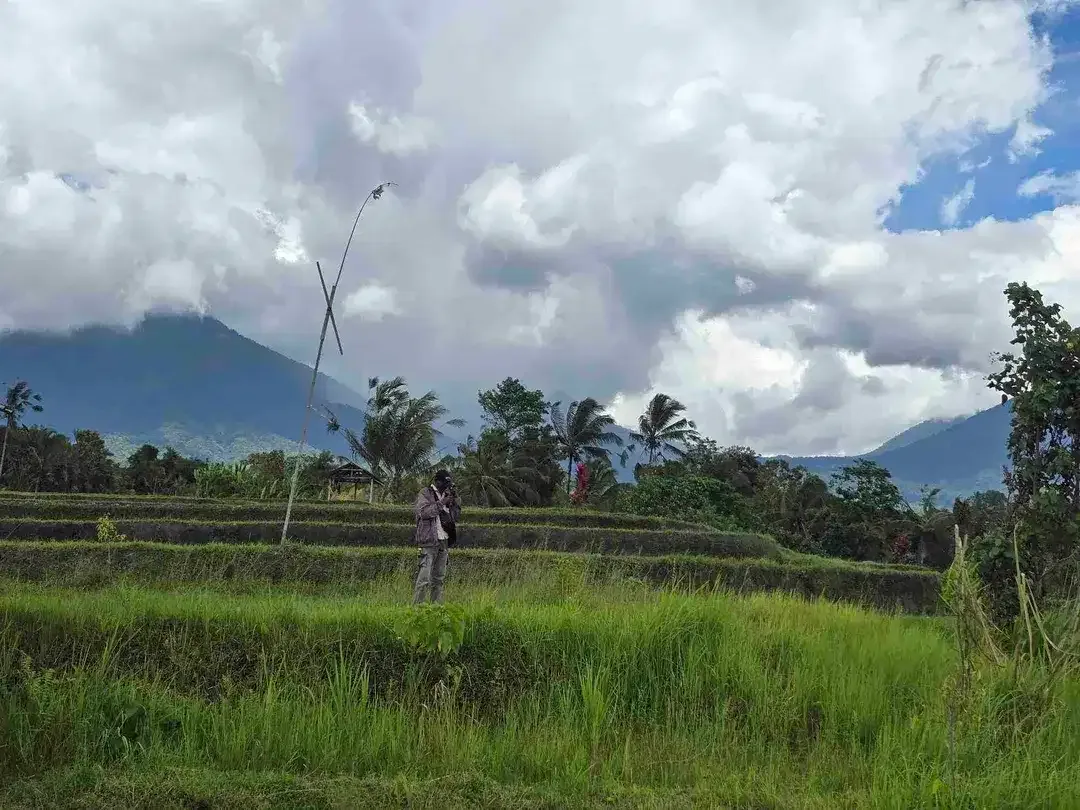 Dijual tanah view sawah dan gunung laut di bali - Image 4 of 10