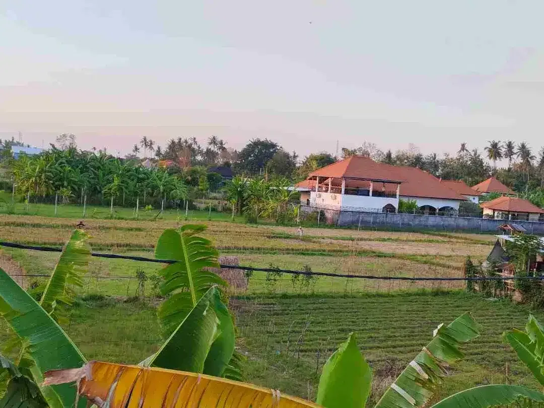 DIJUAL VILLA FURNISH VIEW SAWAH DEKAT PANTAI LOVINA JL - Image 9 of 10