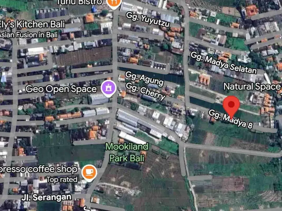 Jual Tanah area Premium Jl Kedampang Kerobokan, Area investasi strategis sudah banyak Villa komersil di area lokasi.in - Image 7 of 7