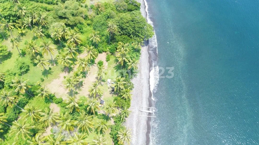 1,59 Hektar Beachfront Pinggir Jalan Utama Pantura Tejakula Bali - Image 4 of 4