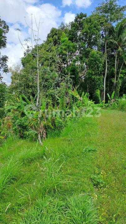 Jual tanah ubud payangan - Image 4 of 4