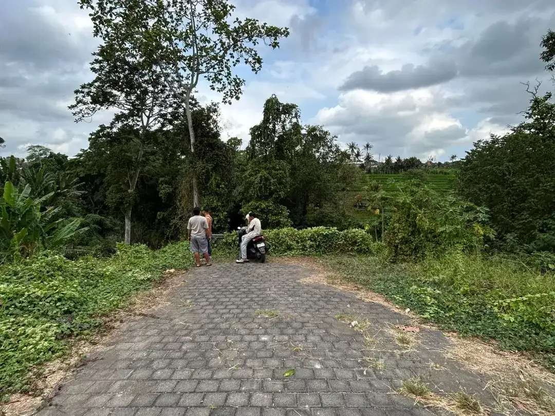 DIJUAL TANAH MURAH TABANAN – FULL VIEW - Image 6 of 6