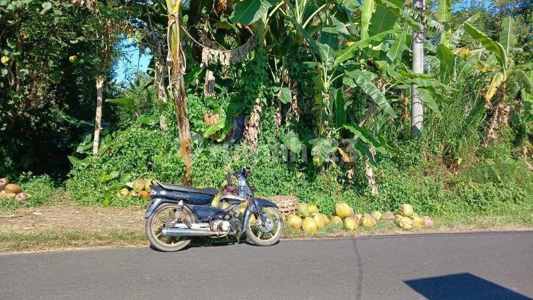 Dijual Tanah Area Tegalalang Ubud Utara Bagus - Image 1 of 4