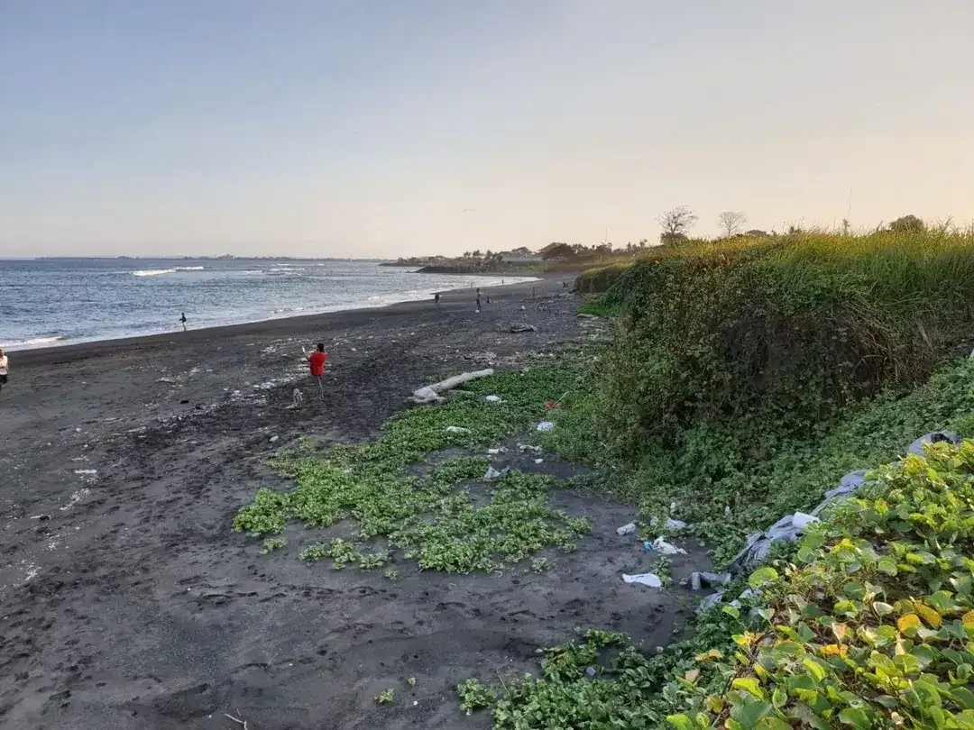 Tanah Beachfront Freehold 4,5 Hektar di Ketewel Bali – Lebar Pantai 300 Meter, Zona Akomodasi Wisata - Image 9 of 10