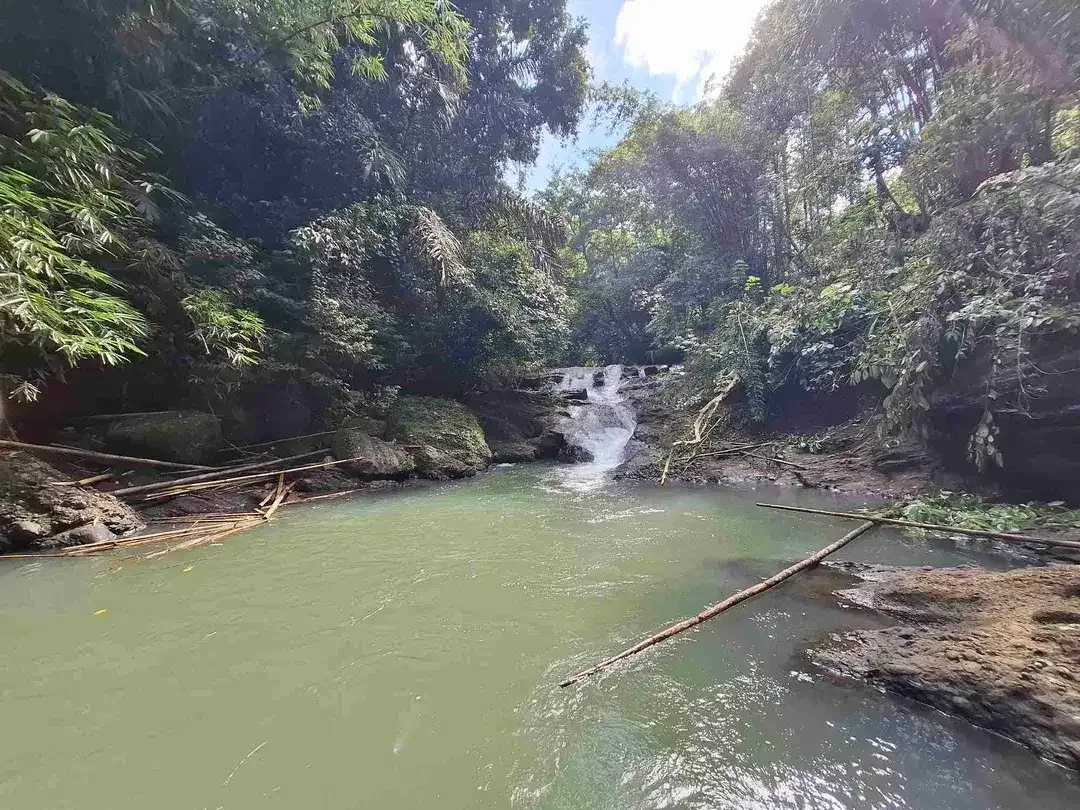 tanah strategis berisi air terjun yang sangat unik di tabanan harga murah - Image 4 of 10