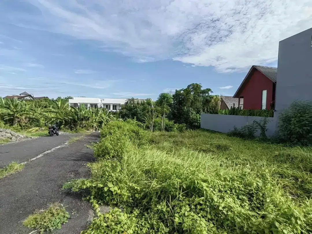 Tanah Premium Jl Subak Canggu - Image 8 of 10