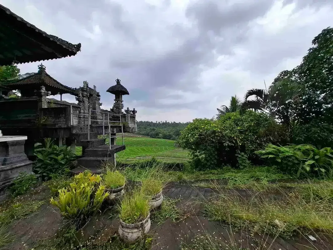 luasan kecil view sawah - Image 7 of 8