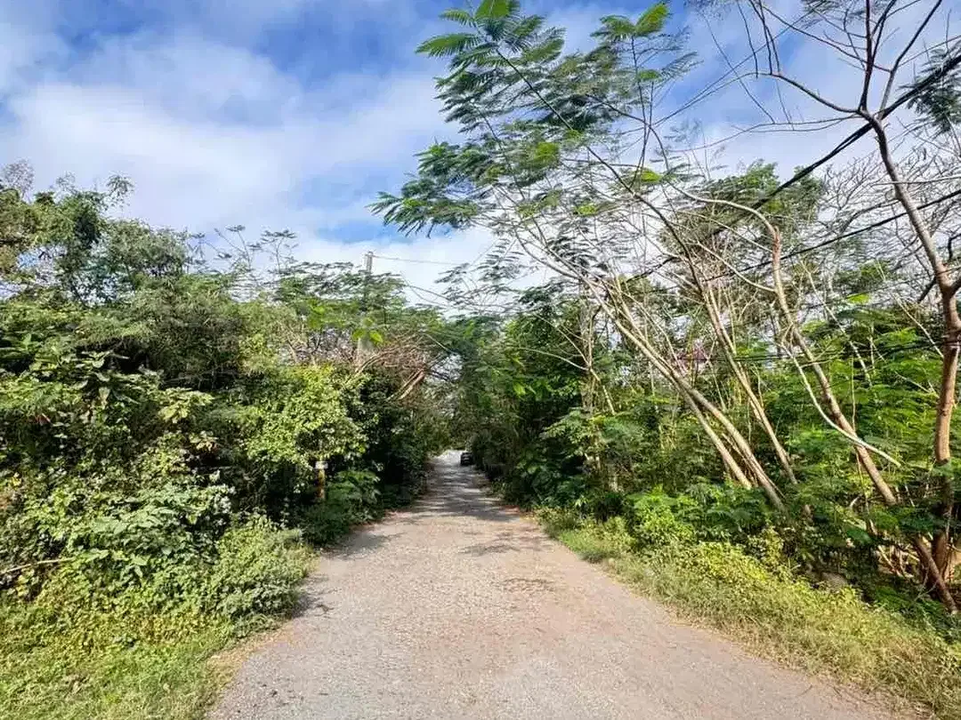 Dijual Plot Kecil Tanah 2 Are di Ungasan kawasan villa - Image 3 of 5
