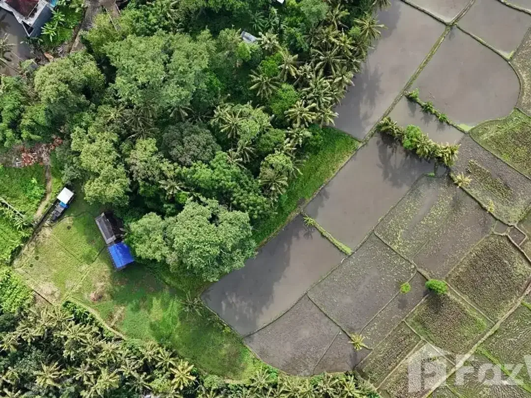 Land for sale in Ubud, Bali - Image 3 of 7