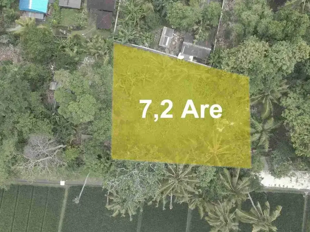 Tanah Leasehold 30 Tahun Kedungu Dekat Pantai - Image 1 of 10