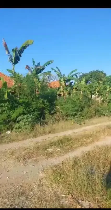 Dijual Tanah 42a di pinggir Jln Bay Pas IB Mantra Ketewel Bali - Image 8 of 8