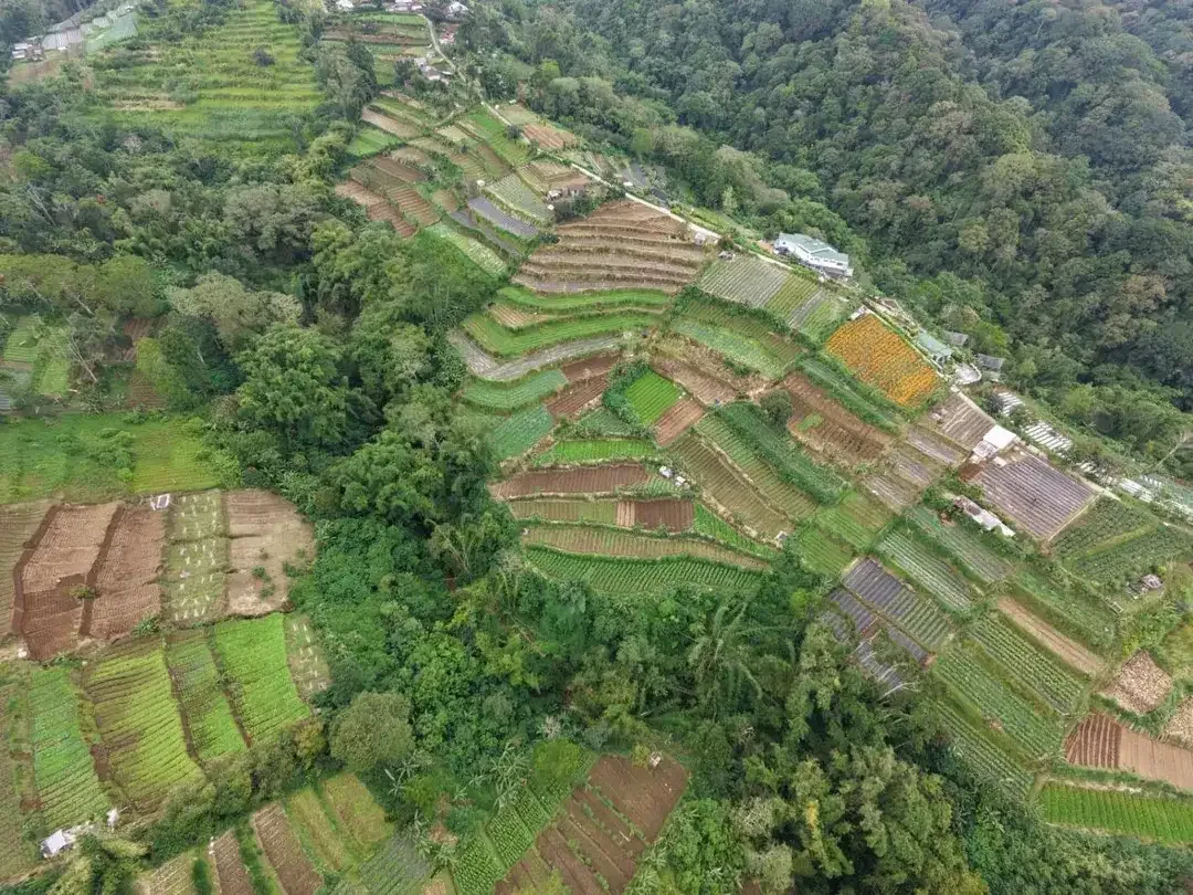 Tanah view pegunungan bedugul - Image 4 of 10