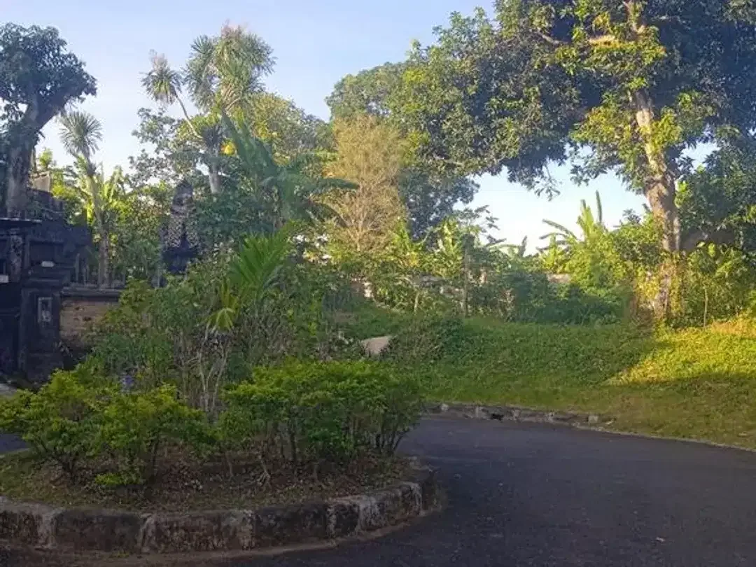 Tanah 8,52 Are Dalam Kompleks Perumahan Dijual di Denpasar Timur - Image 2 of 5
