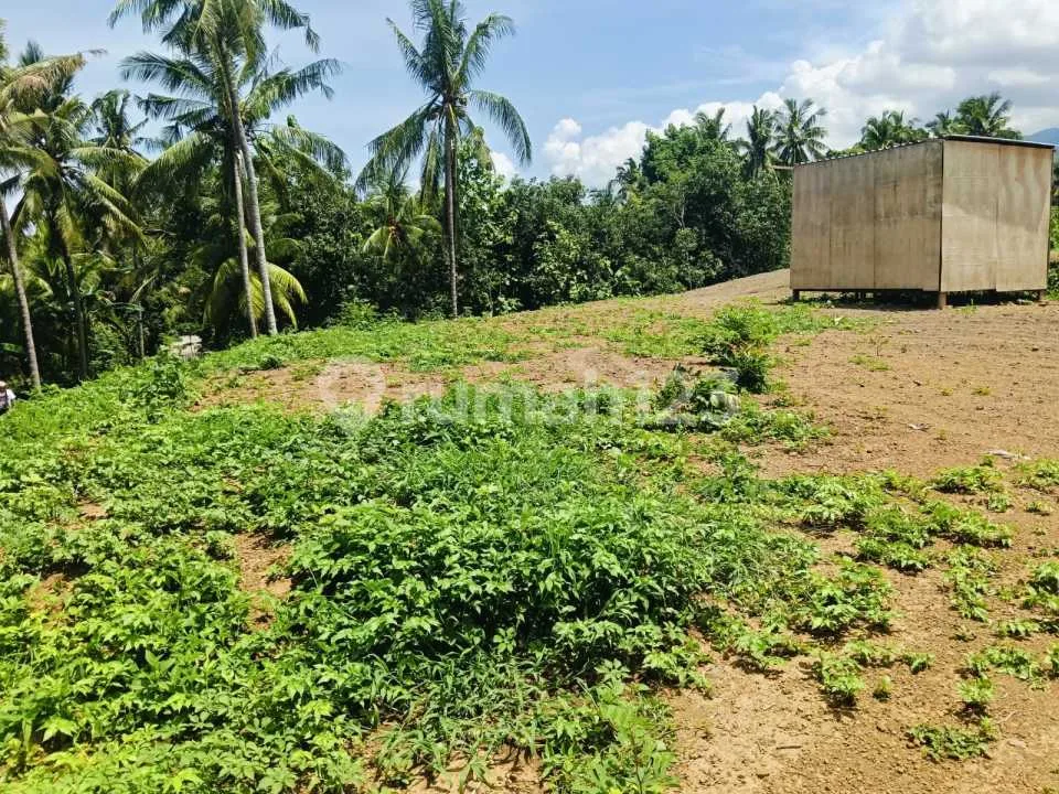 For Sale Premium Land 3 Minute Drive To Central Lovina Good For Villa - Image 4 of 4