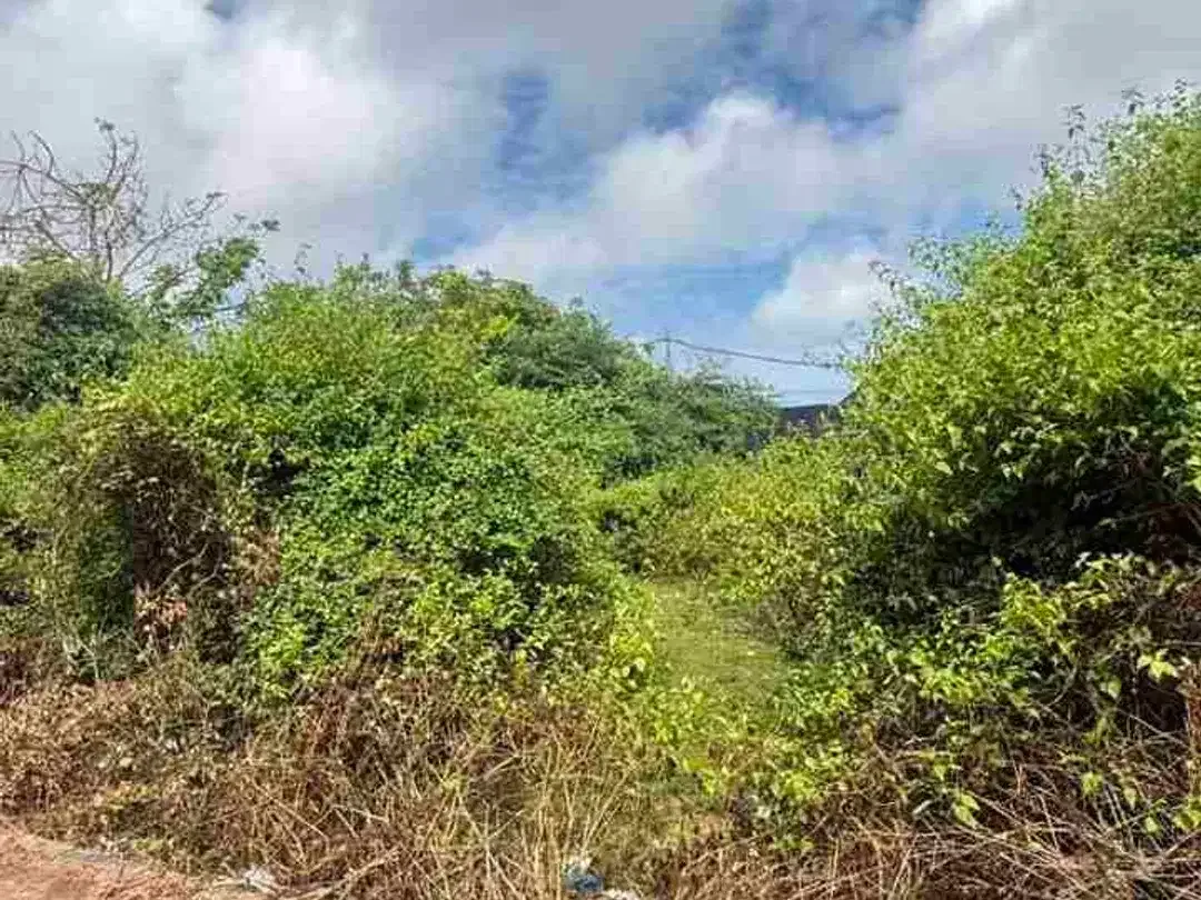 Dijual Tanah 200m2 Hanya 7 Menit ke Pantai Melasti - Image 6 of 10