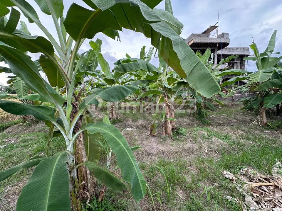 Tanah Dikelilingi Sawah Dekat Kampus Mediterranean Bali & Monkey Forest - Image 1 of 4