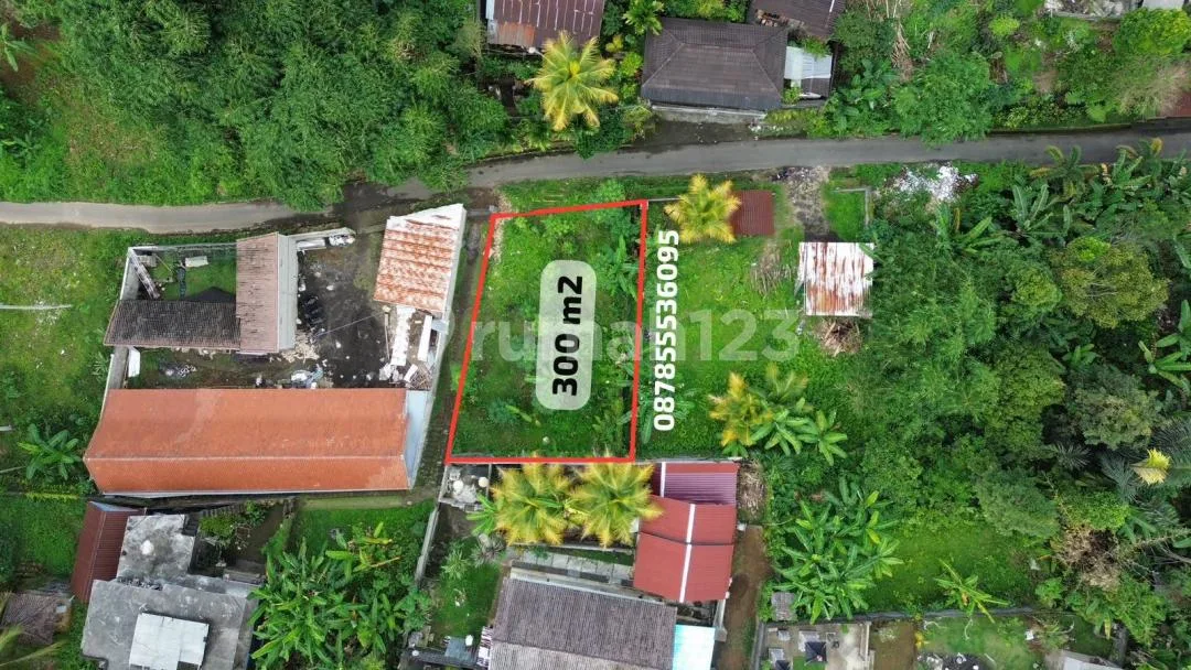 Dijual Murah Buc Tanah Ubud, Tampaksiring Area Sejuk Nyaman Asri - Image 3 of 4