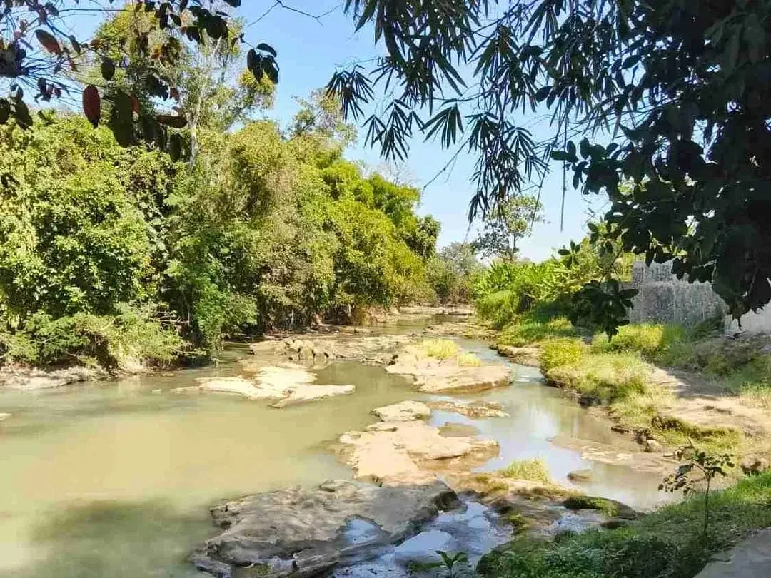 Tanah Kavling Villa View Sawah, Sungai & Laut, Harga Ekonomis di Kelating, Kerambitan, Tabanan dekat Pantai - Image 7 of 10