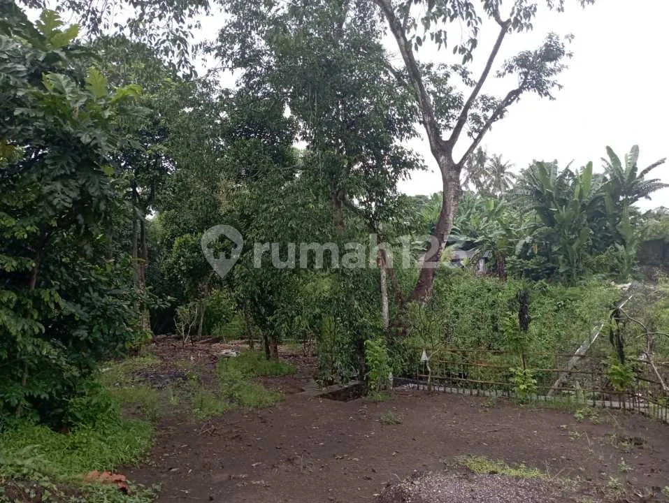 Tanah Dekat Pantai Kedungu Belalang Shm 780.0 MÂ² - Image 1 of 4