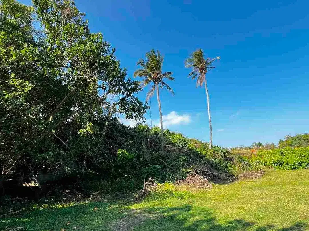dijual tanah Los pantai kelecung tabanan bali - Image 6 of 10