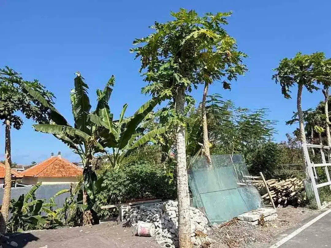 DIJUAL TANAH HOOK STRATEGIS – KAMPIAL, NUSA DUA, BALI - Image 4 of 10