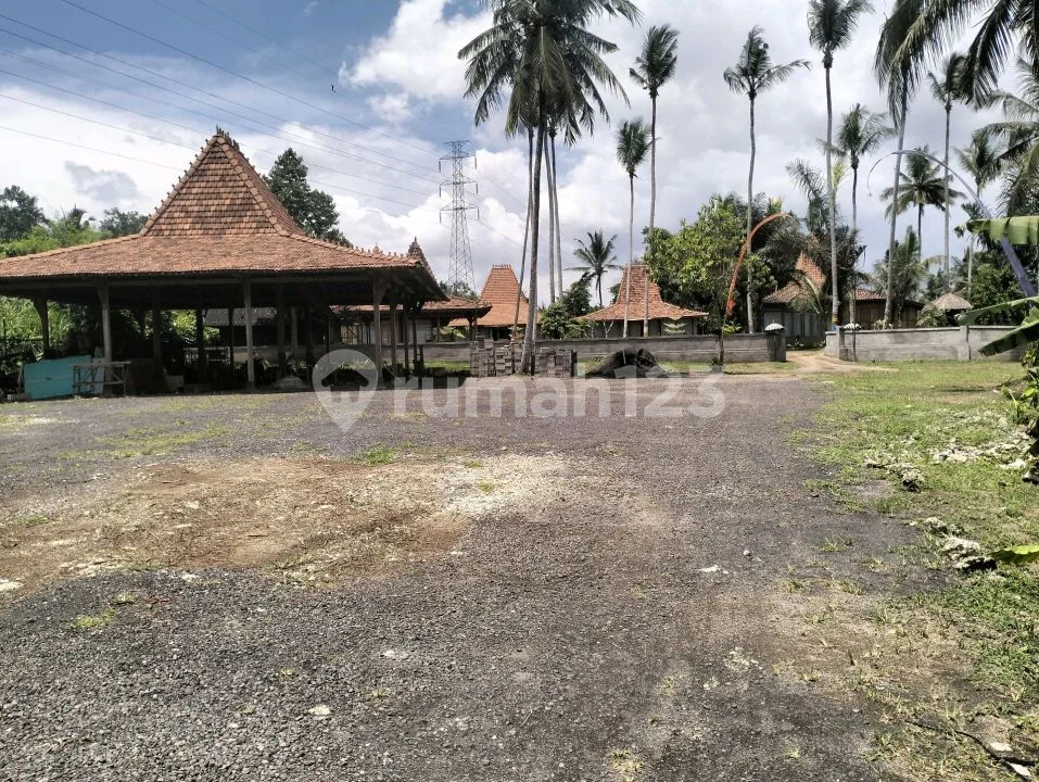 Villa Murah Badung Bali Luas 3800m2 - Image 1 of 4