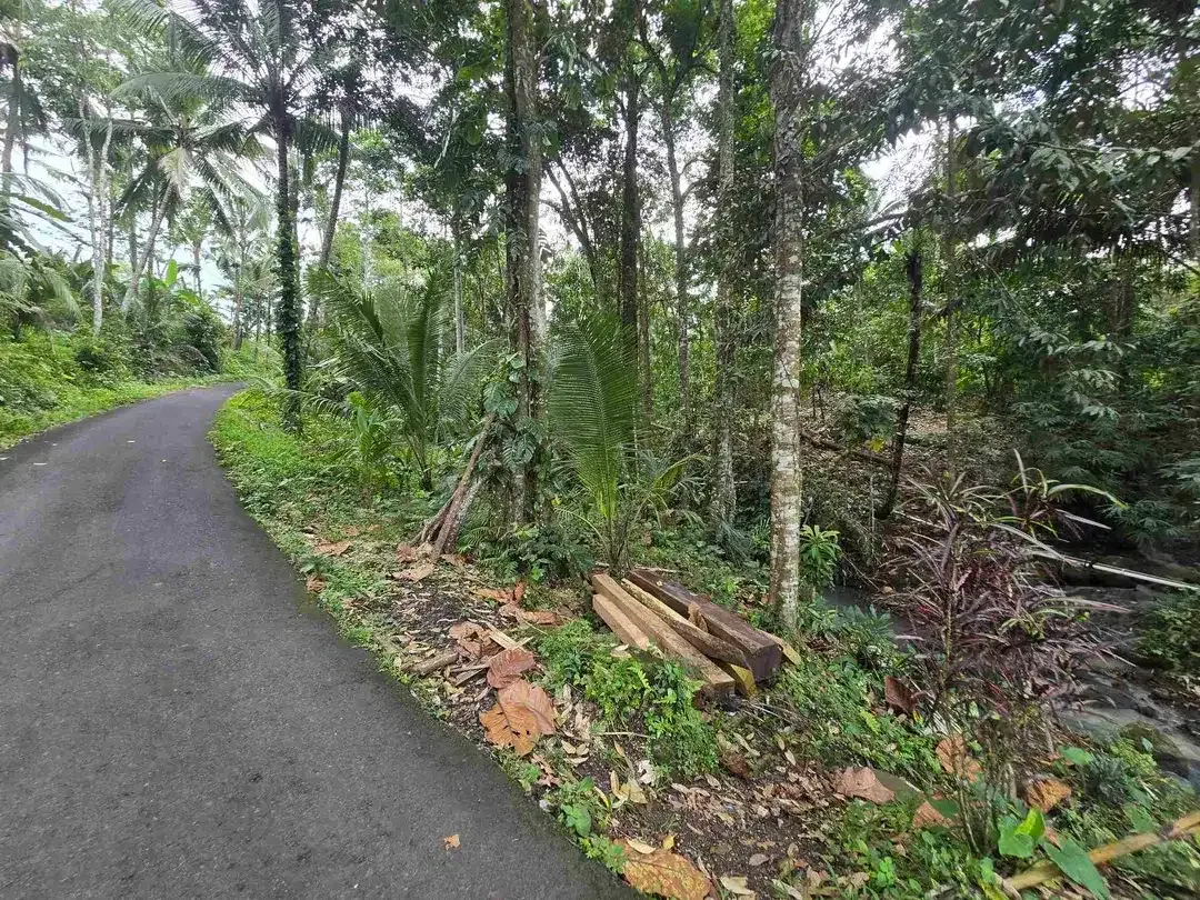 dijual tanah murah view cantik di tabanan bali - Image 10 of 10