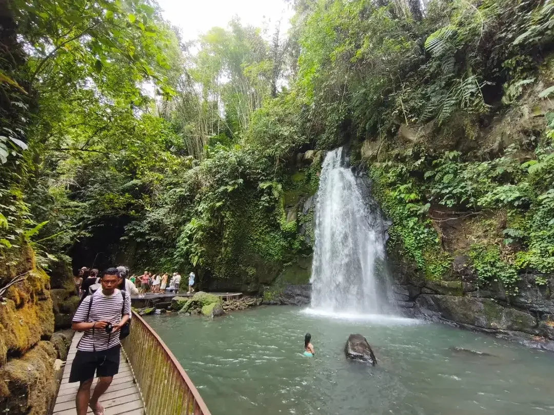Dijual Tanah Langka View Air Terjun Ulu Petanu, di Jl. Bayad, Kedisan, Tegalalang, Gianyar. - Image 5 of 8