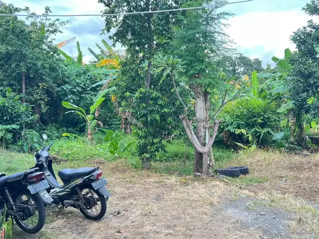 tanah SHM mepet canggu, villa area, view sawah itr kuning - Image 2 of 8
