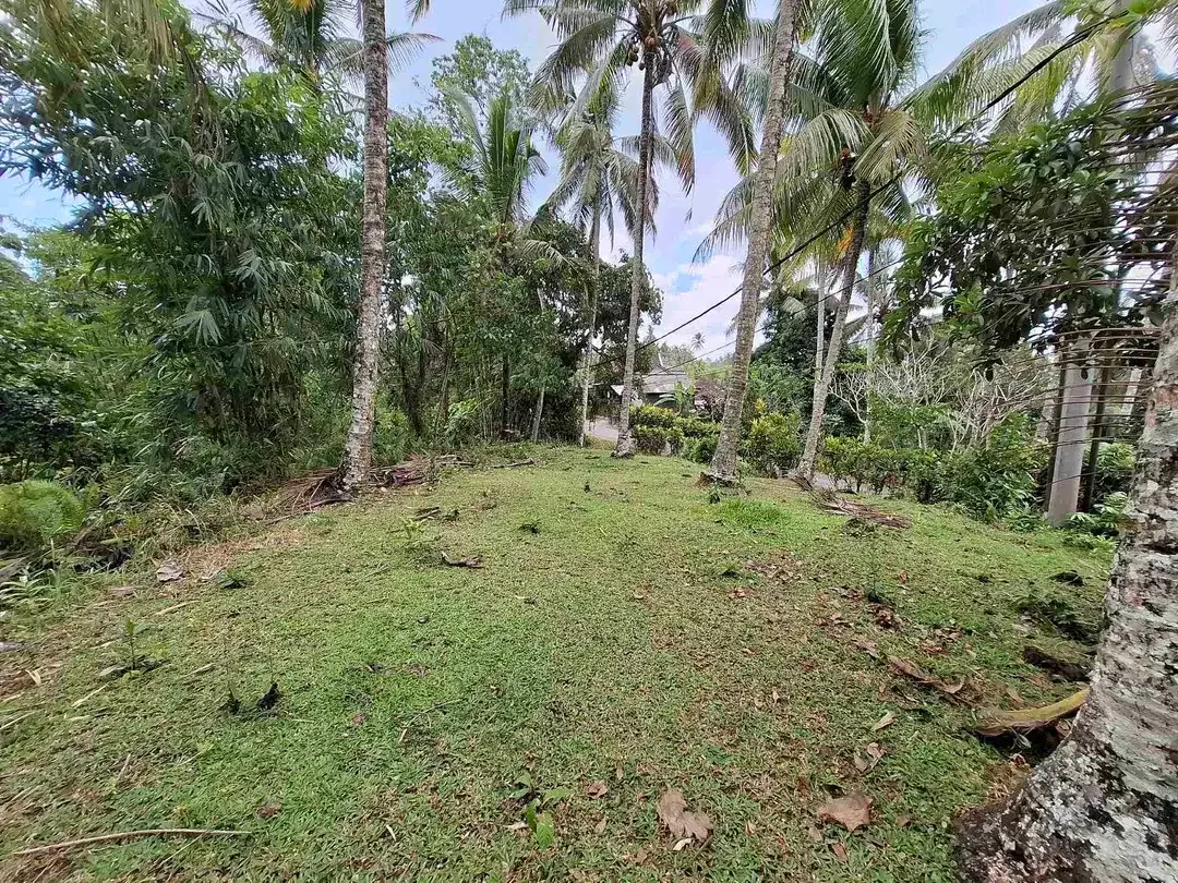 tanah kebun luasan kecil los sungai zona kuning atau zona pemukiman penduduk sudah daerah wisata di tabanan - Image 4 of 9