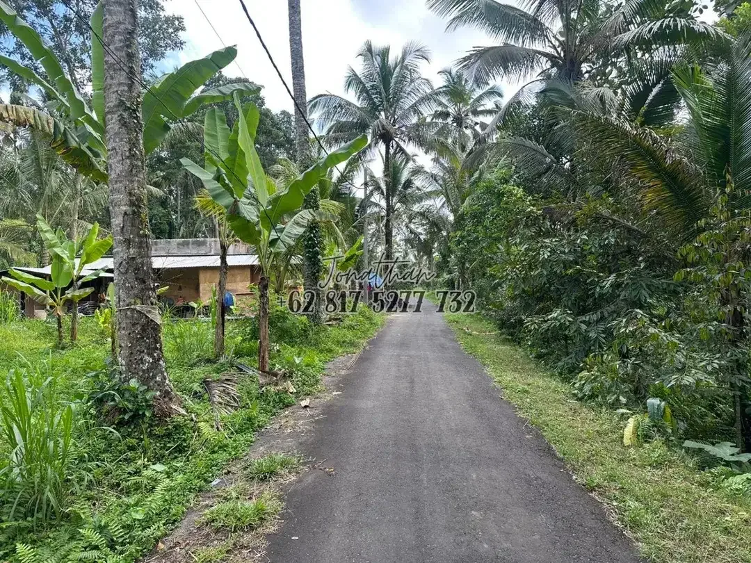 Dijual Tanah SHM Pinggir Jalan Raya 2 Are di Br. Sema Payangan Ubud Bali - Image 6 of 8