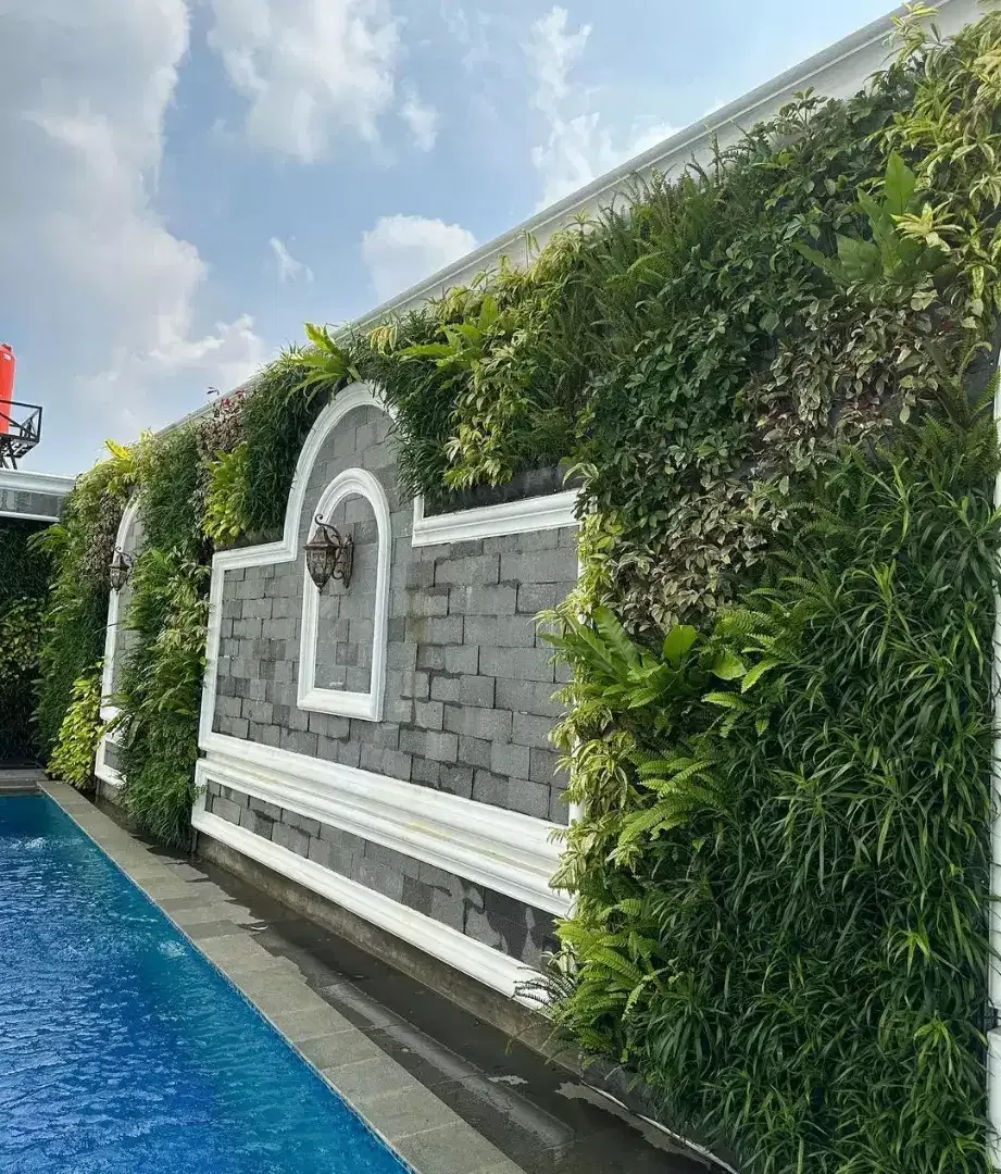 Tukang taman vertikal garden atau taman dingding dan taman lancape - Image 1 of 3