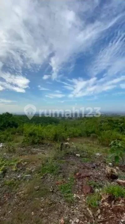 Tanah Lelang Zona Kuning Jalan Tundun Penyu - Bali - Image 3 of 4