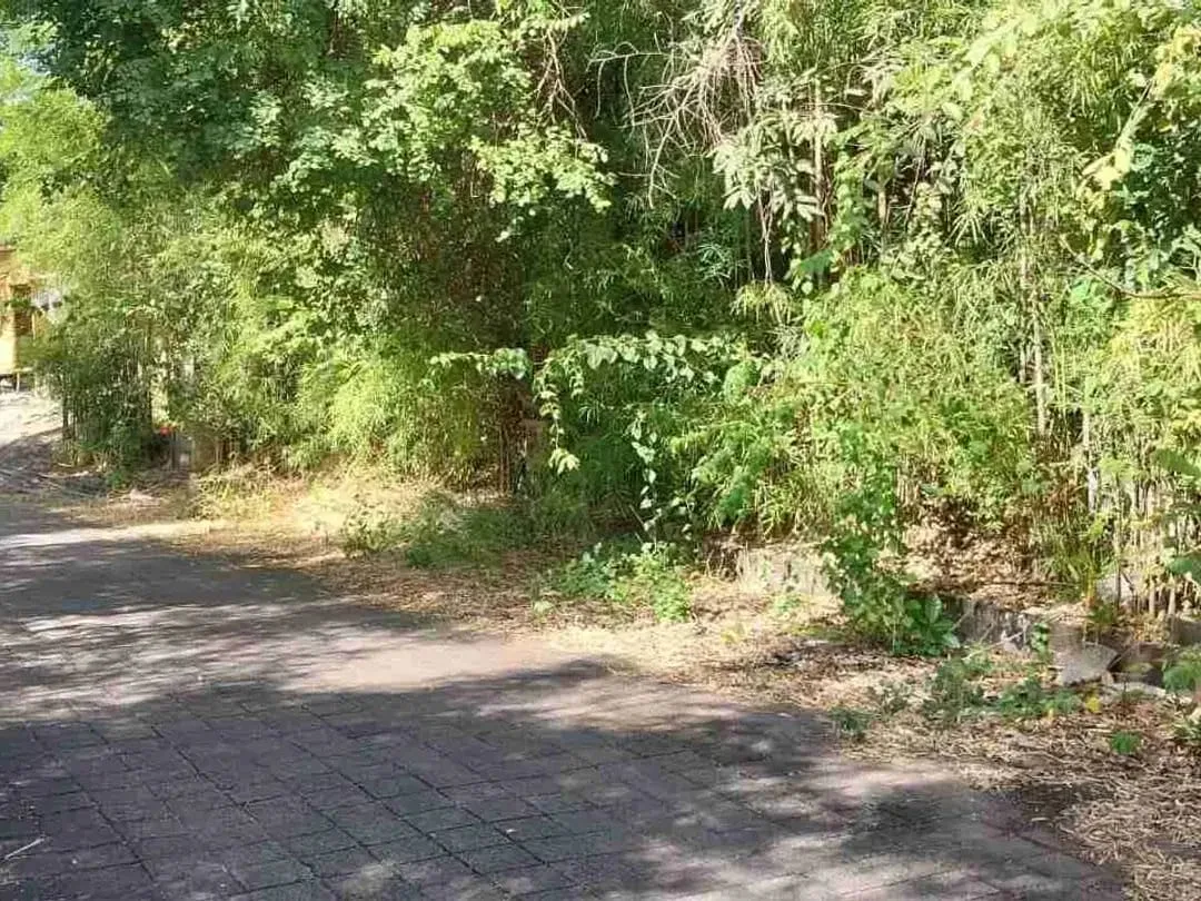 Tanah hook 500m2 taman mumbul Nusa 2 idr 7 jt/m2 - Image 8 of 9