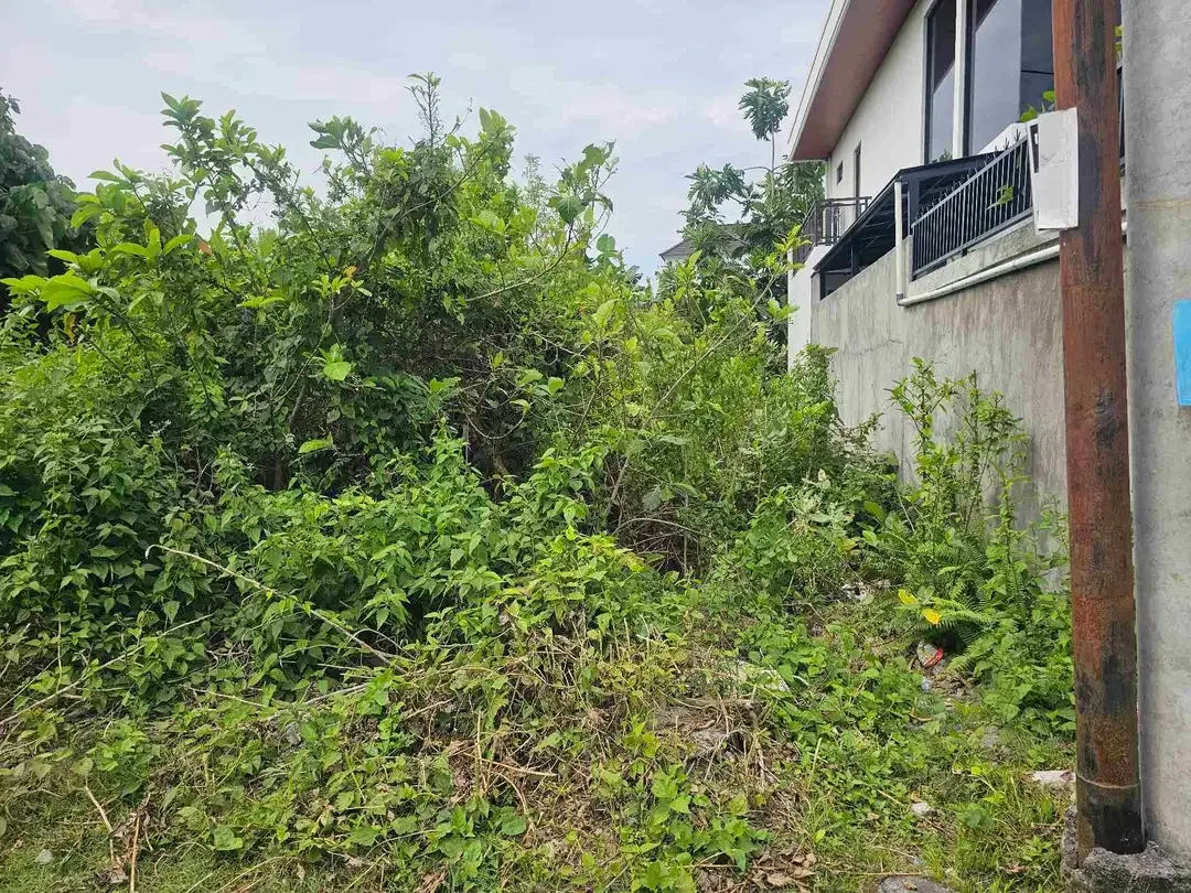 dijual tanah komersil lingkungan villa seminyak - Image 6 of 7