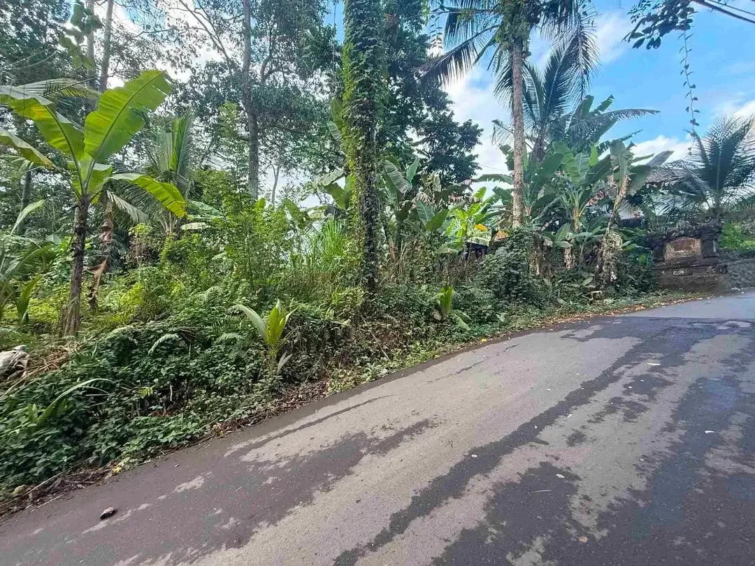 Tanah Premium Payangan View Jungle Dekat Resort - Image 10 of 10