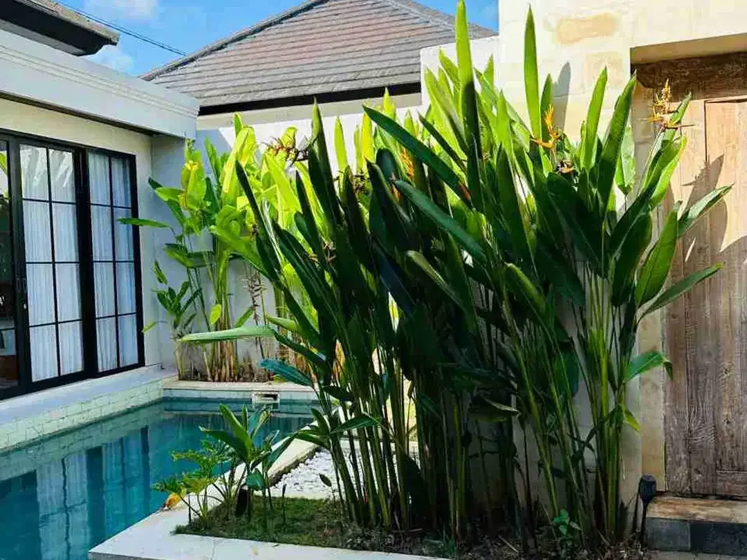 dijual villa 3 bedroom dipurigading jimbaran Kuta Selatan Badung Bali - Image 2 of 10
