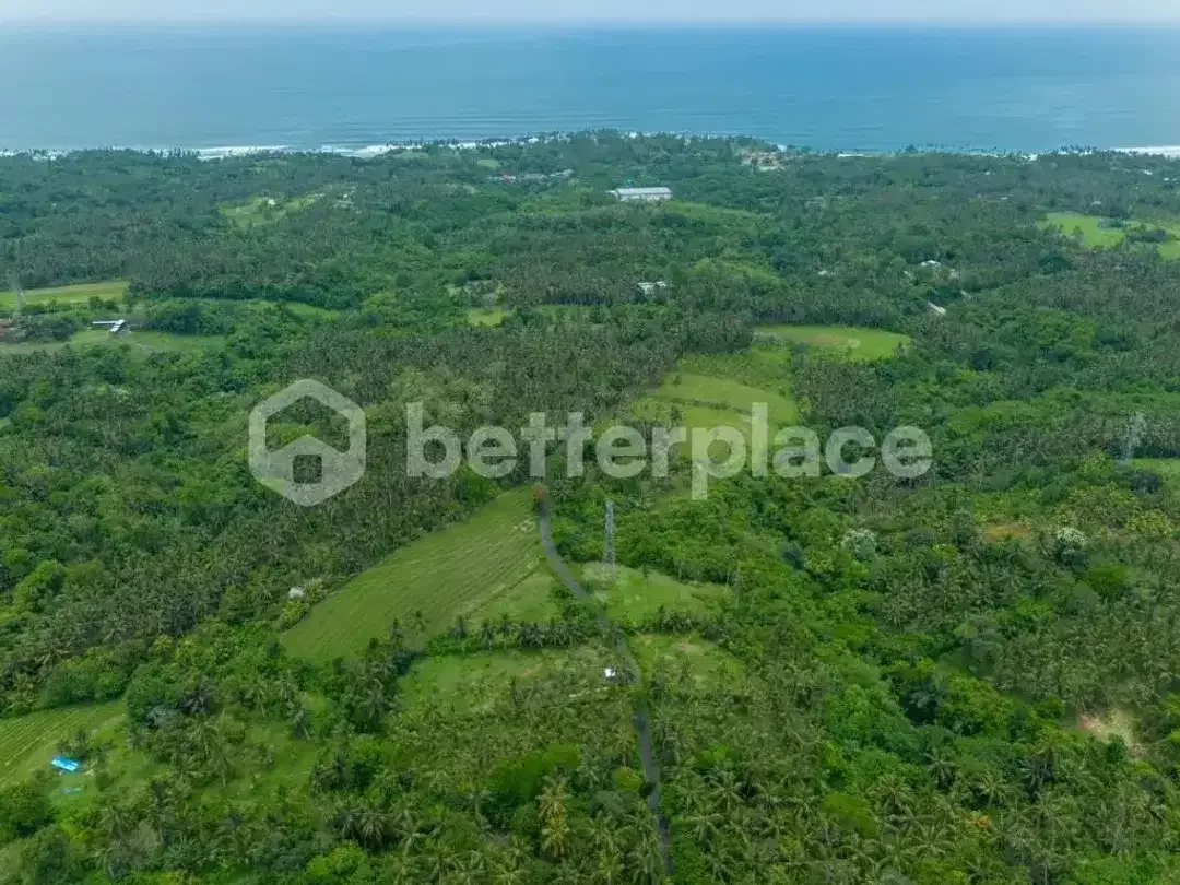 Prestigious 23.9 are Freehold Jungle Land in Balian – A Rare Investment Opportunity Blending Natural Serenity with Coastal Elegance - Image 5 of 10