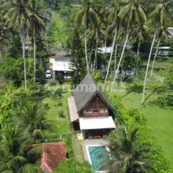 Villa For Sale Pangeragoan Jembrana By Local Property Team - Image 4 of 4
