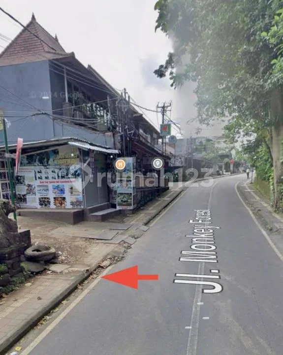 Dijual Tanah Gianyar - Image 3 of 4