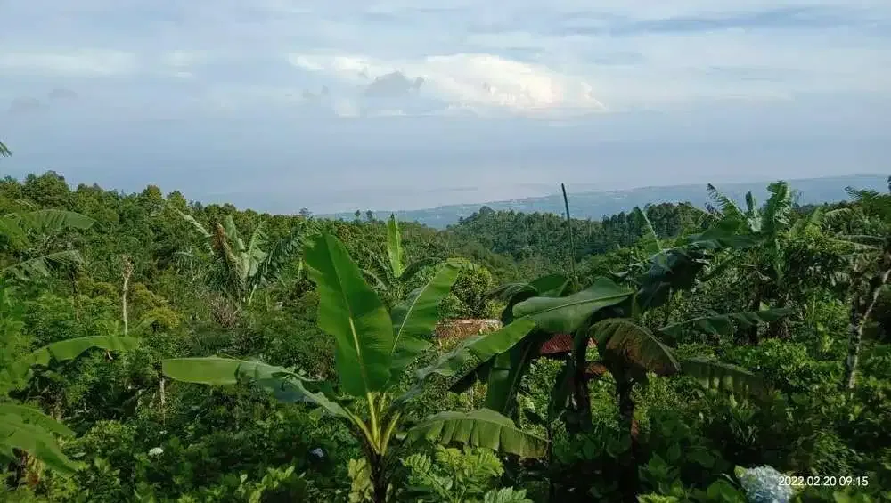 BUC TANAH DIJUAL FULL VIEW LAUT BALI UTARA - Image 1 of 3