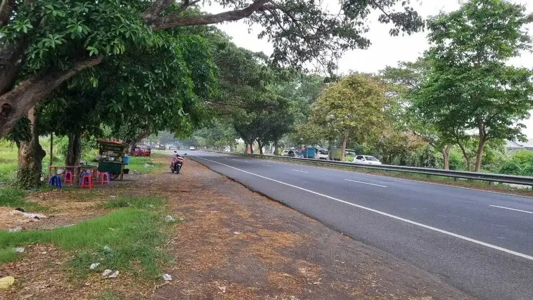Tanah Murah Di Jalan Utama Bypass Ida Bagus Mantra Lebih Gianyar - Image 2 of 10