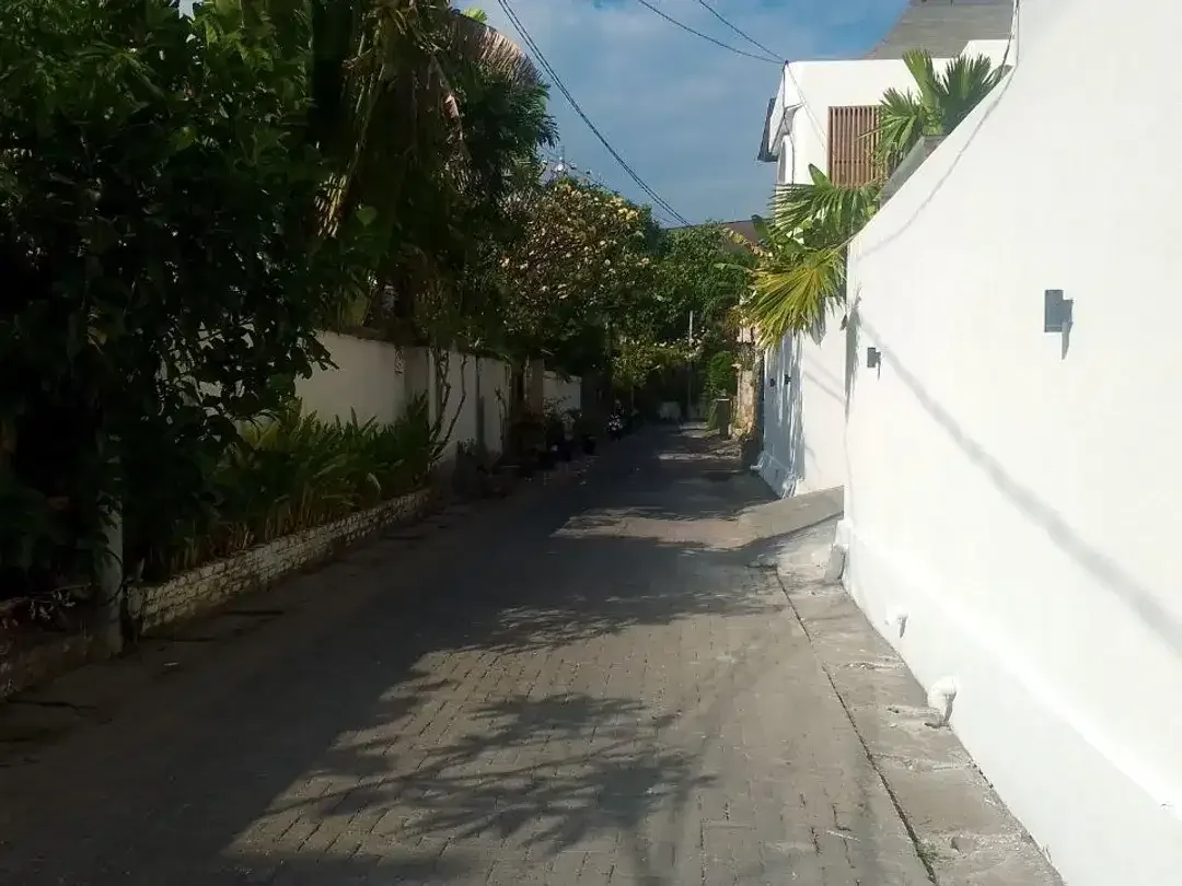 Tanah Premium 2,01 Are Dijual di kawasan strategis Berawa, Canggu - Image 4 of 4