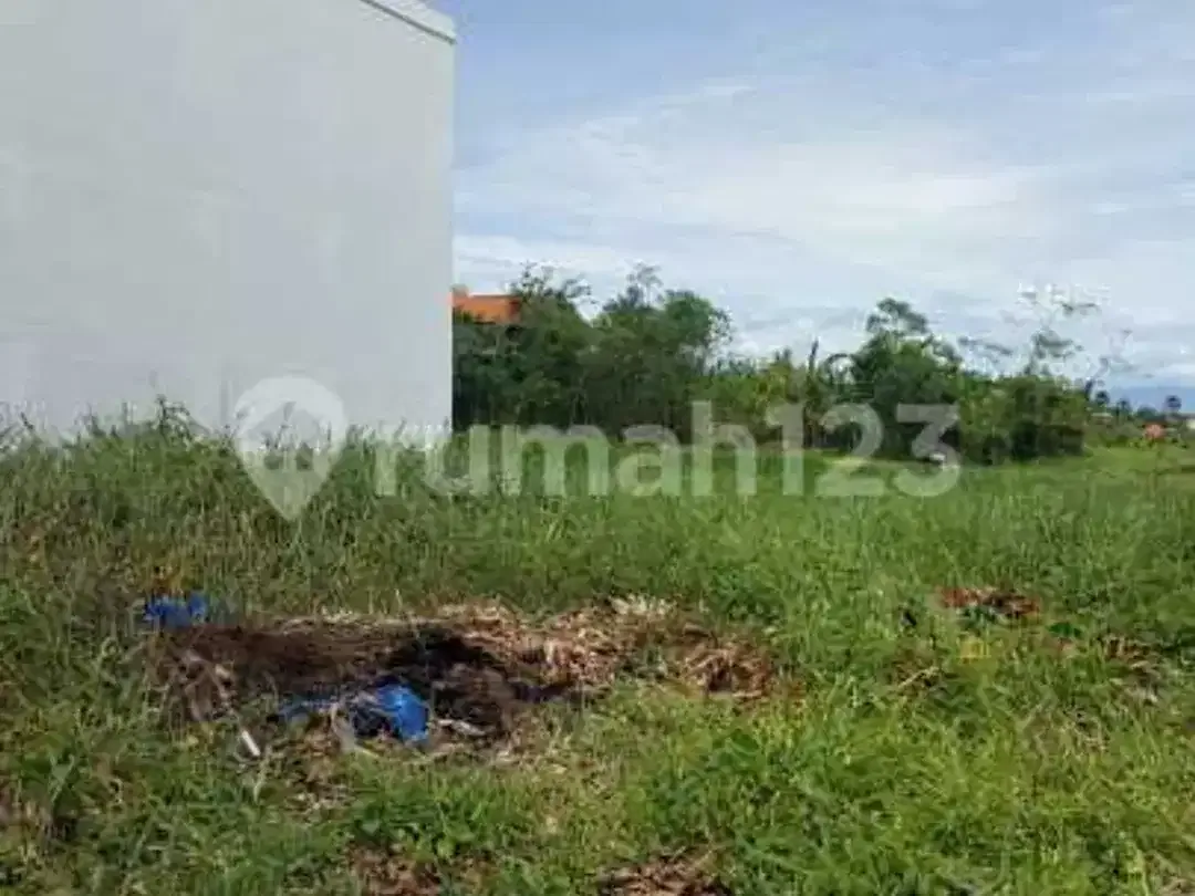 Prime Leasehold Land 473M & 1500M In Pantai Lima Canggu Bali- Ideal For Luxury Villa Or Commercial Development - Image 1 of 5