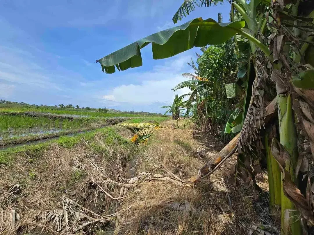 dijual tanah kecil dekat pantai pasut tabanan bali - Image 5 of 10
