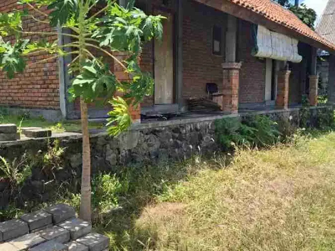 tanah kontrak di tengah tengah villa kerobokan - Image 7 of 8