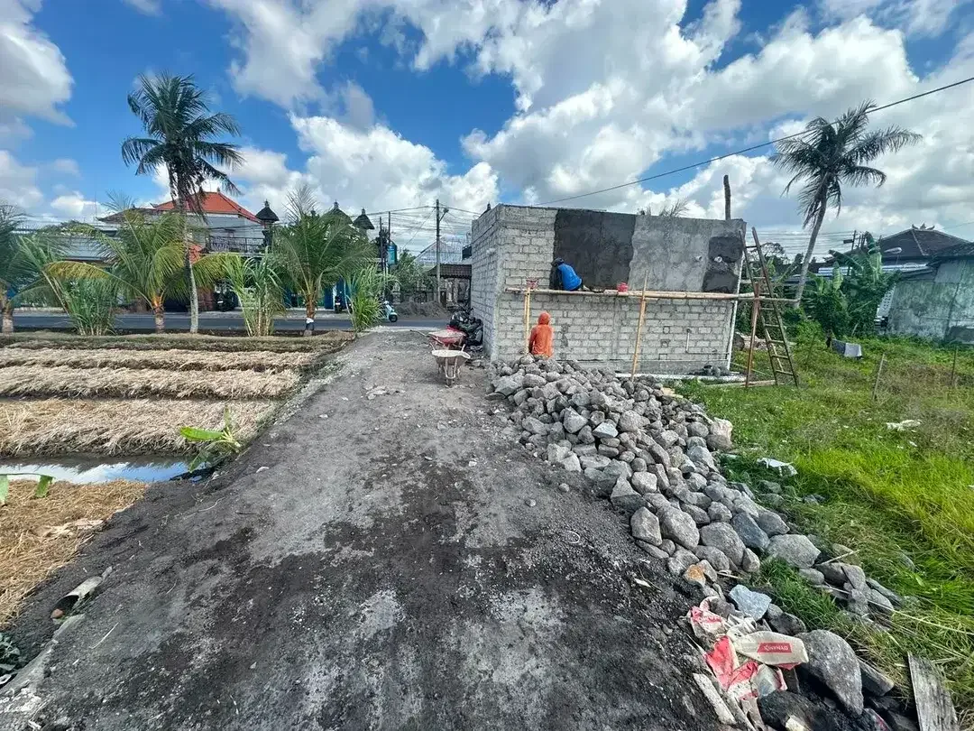 TANAH MURAH DISEWAKAN 15 TAHUN – JALAN CEKOMARIA, DENPASAR - Image 5 of 5